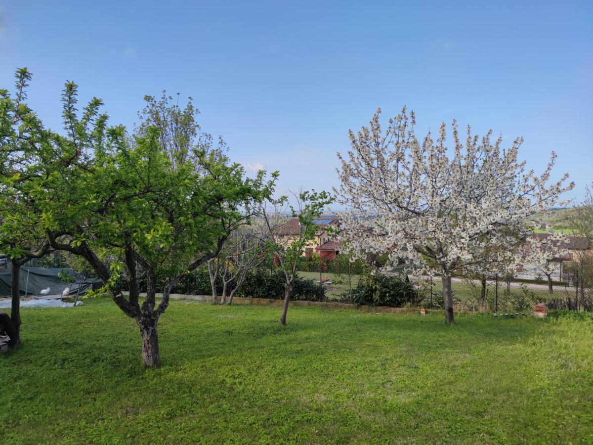 Relax In Collina A Due Passi Dal Mare Apartment *