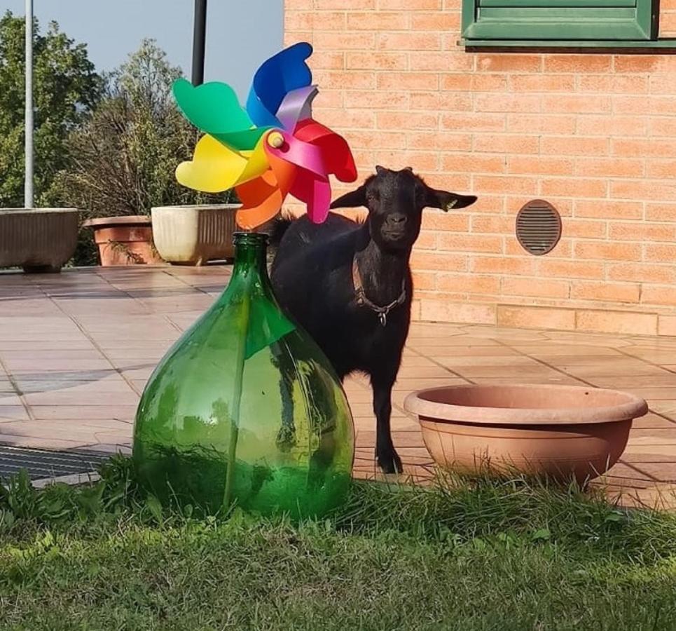 Relax In Collina A Due Passi Dal Mare